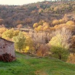 Carrascosa otoño