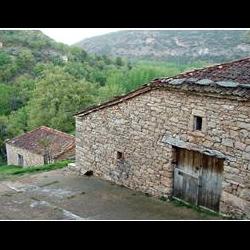 Carrascosa primavera