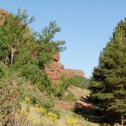 Vistas del monte Vistas del monte